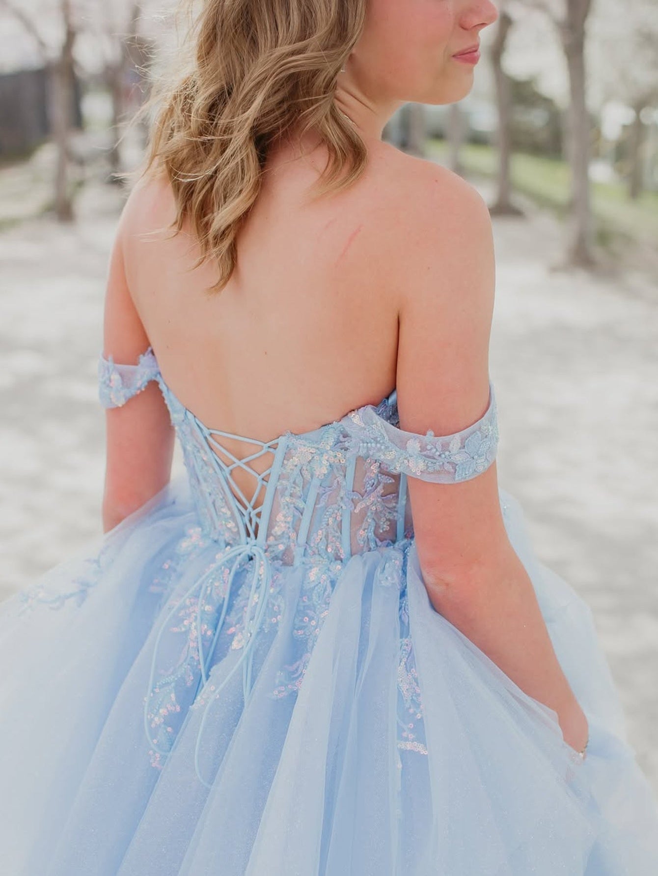 Illusion Bodice Lace Embroidery Ball Gown Prom Dress - Baby Blue