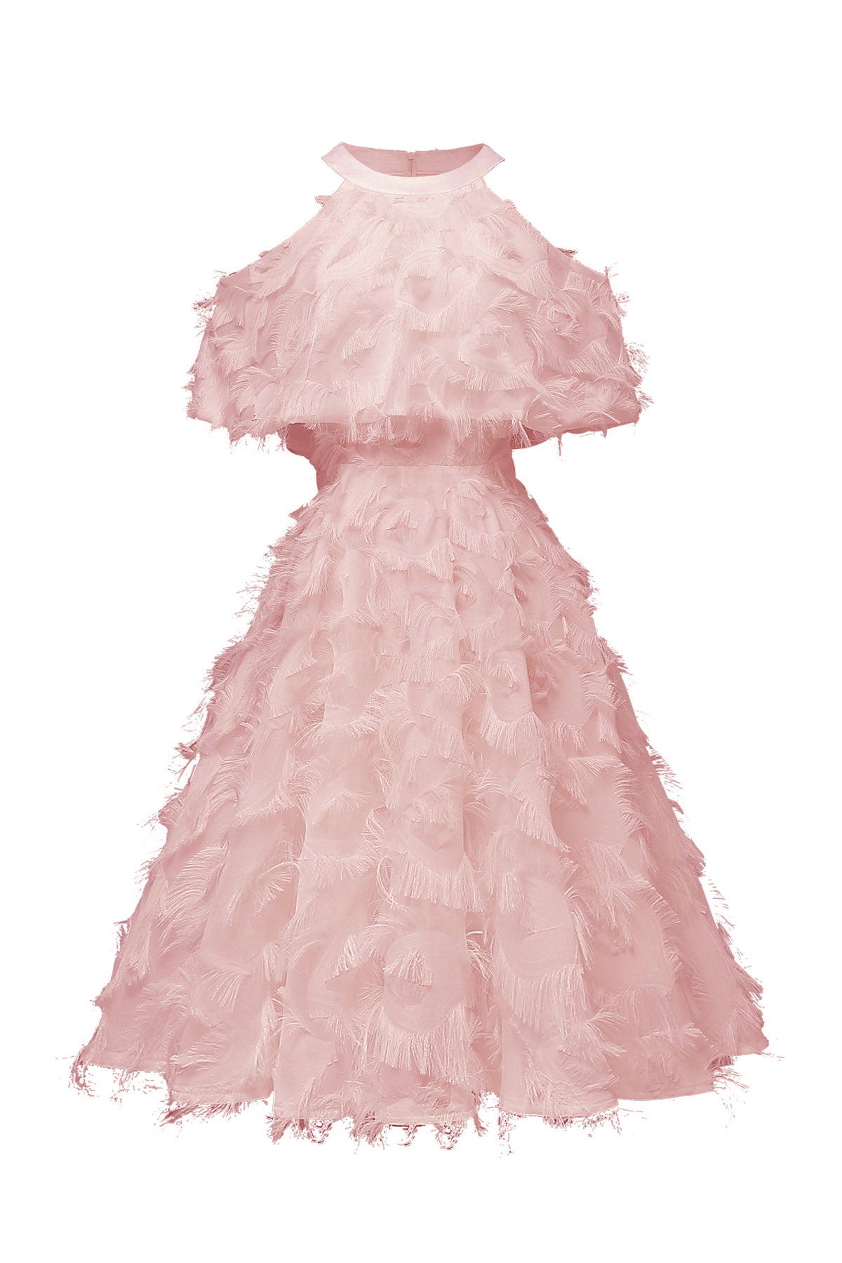 Coral