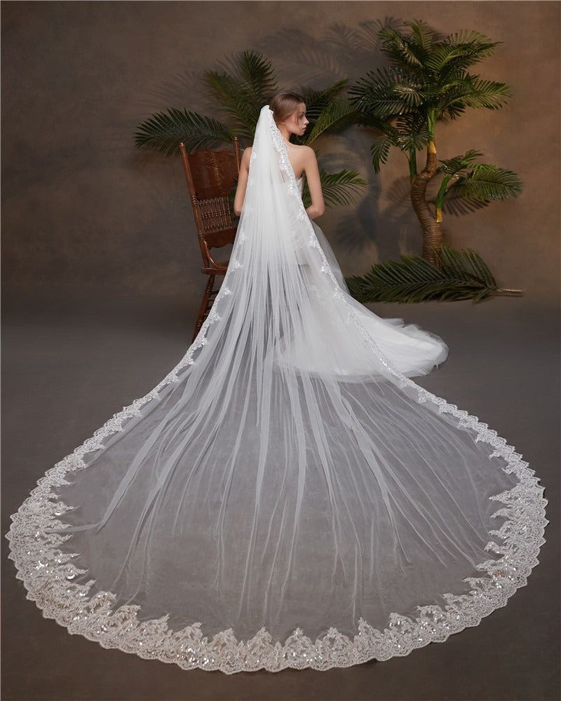 Elegant Lace Edge Cathedral Tulle With Applique Wedding Veils