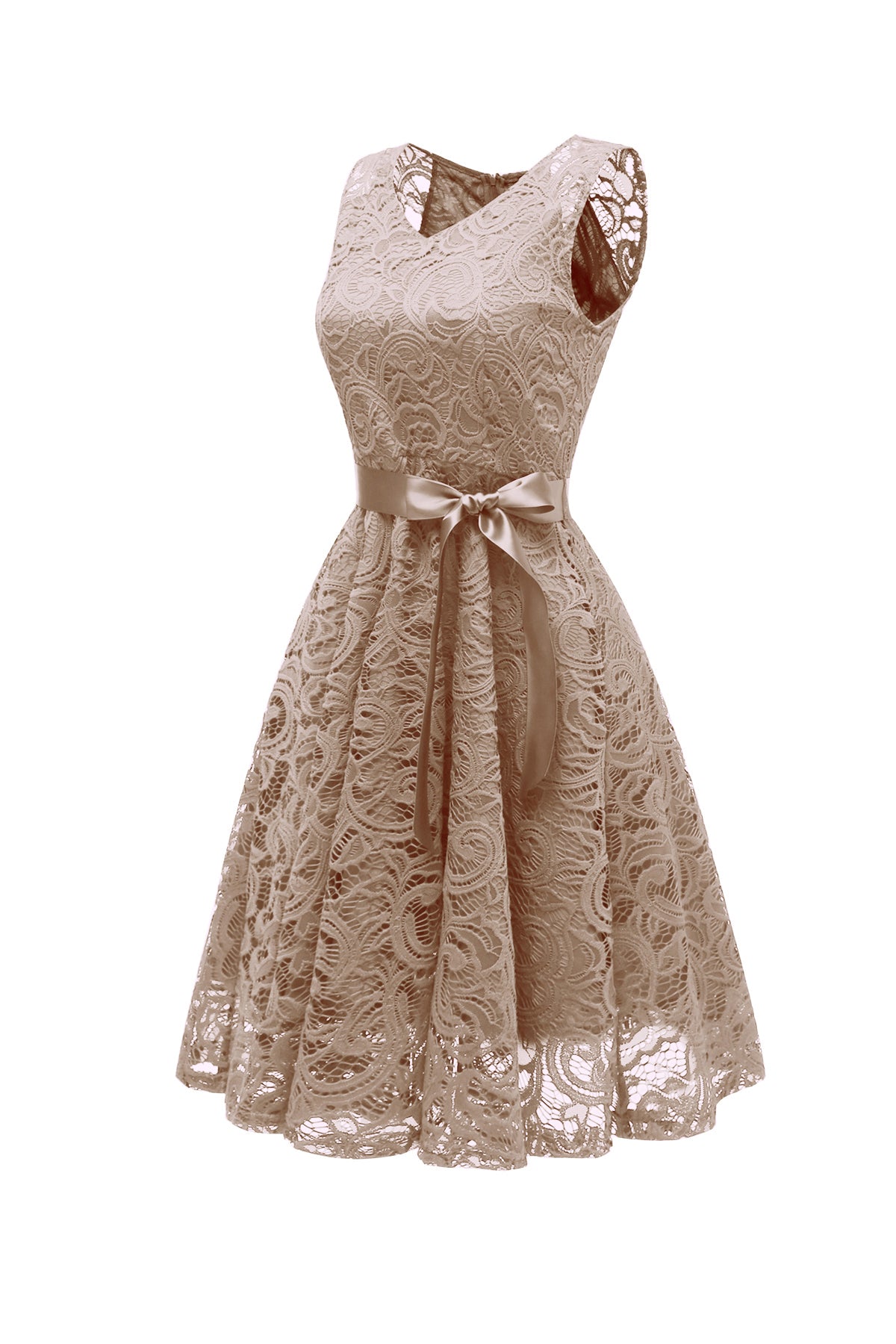 Lace A-line V-neck Vintage Dresses