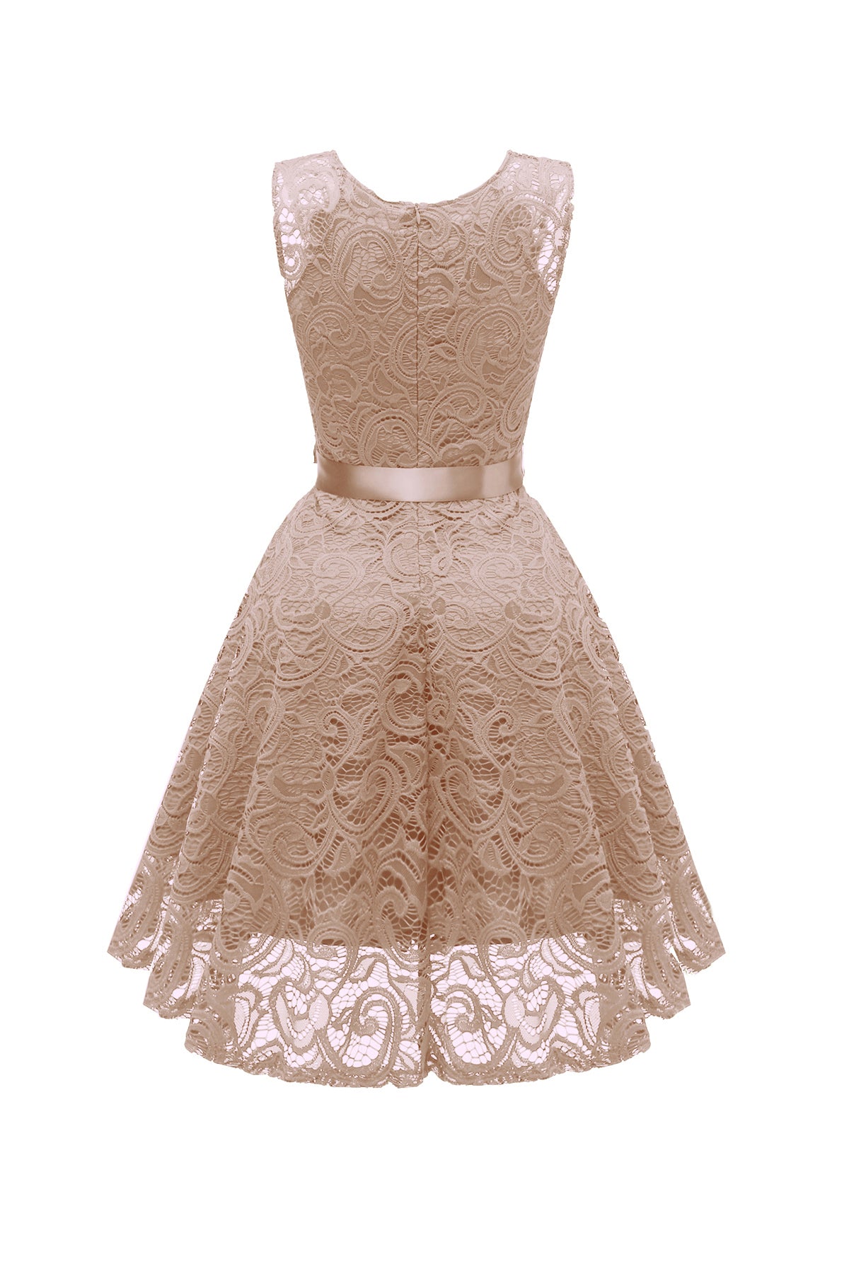 Lace A-line V-neck Vintage Dresses